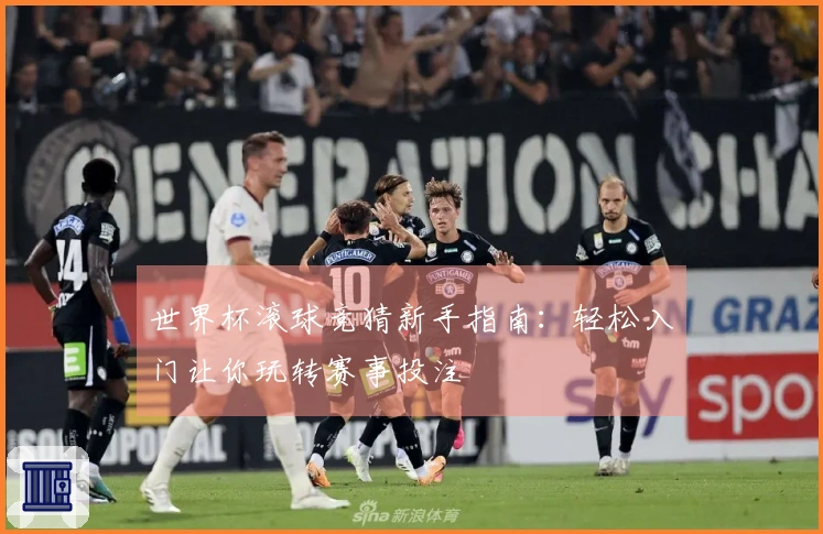 世界杯滚球竞猜新手指南：轻松入门让你玩转赛事投注