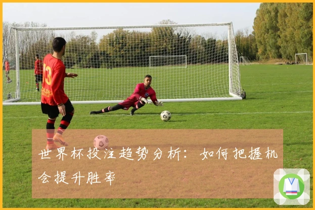 世界杯投注趋势分析：如何把握机会提升胜率