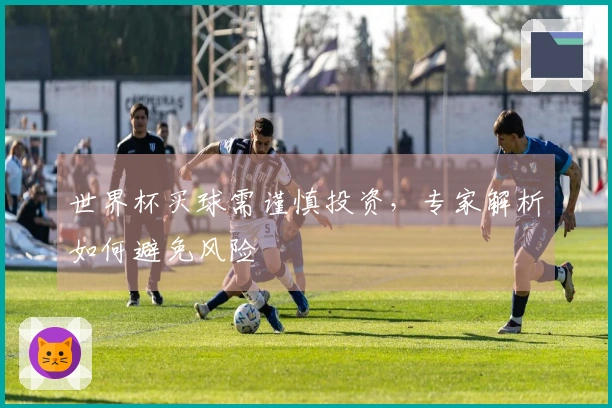 世界杯买球需谨慎投资，专家解析如何避免风险